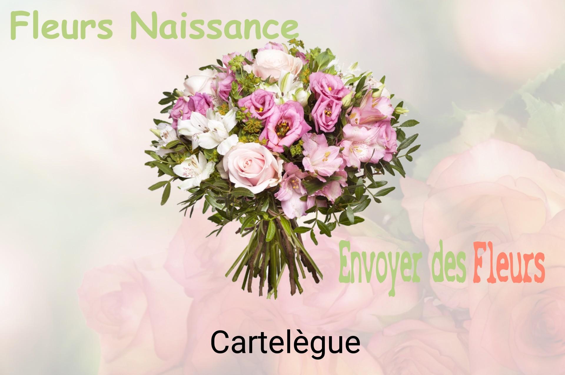 Bouquet de fleurs de naissance livré à Cartelègue
